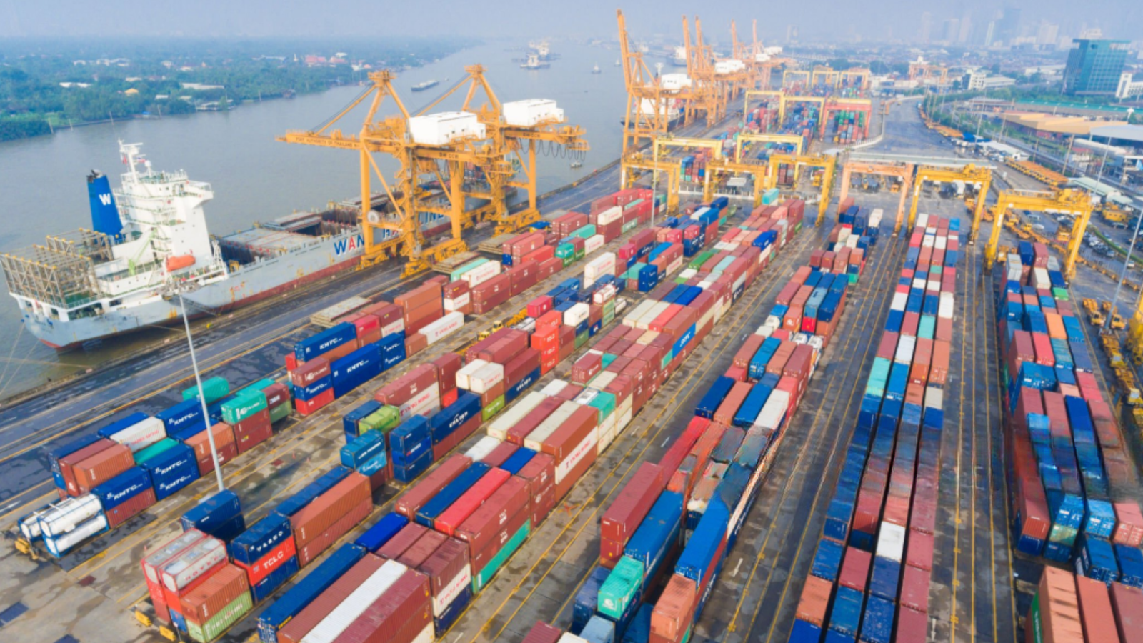 Global Export Supply – Safecon Lifesciences